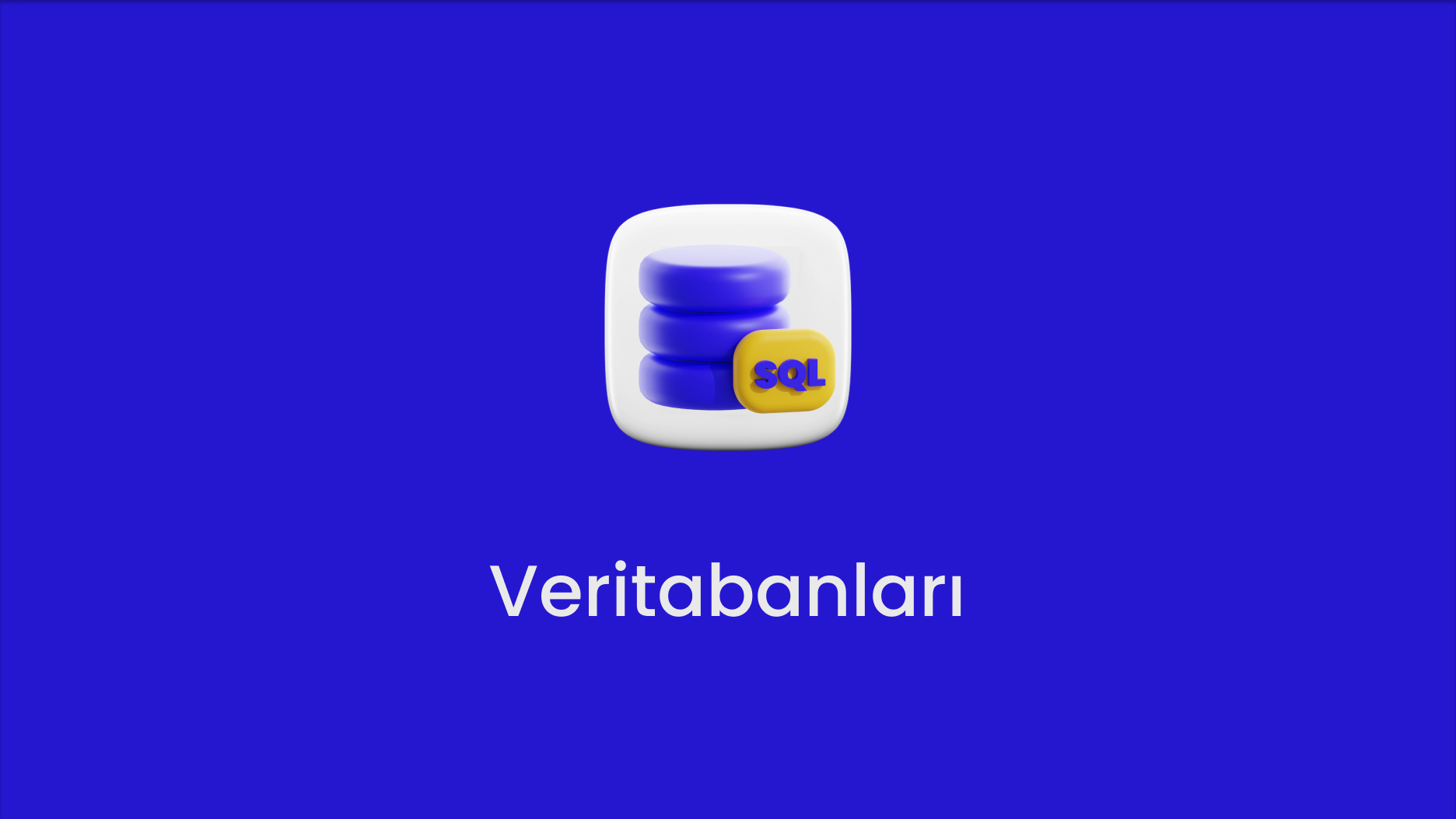 Veritabanları